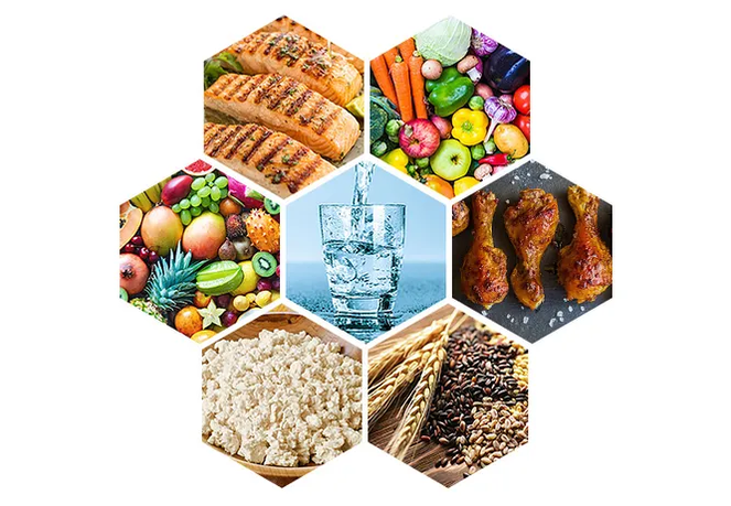 6 petalo dieta menua